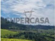 Terreno rústico de 6160 metros, com poço, em Torres...