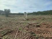 Terreno Rústico de cerca de 28ha para arrendamento