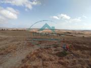 TERRENO RÚSTICO DE LABOR