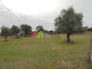 Terreno rústico em Aguiar