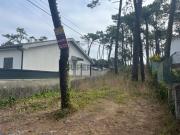 Terreno rústico em Apúlia