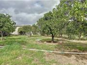 Terreno Rústico em Azoia Leiria