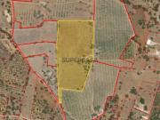 Terreno Rústico 3,8ha em Bela Salema, Faro