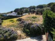 Terreno Rústico em Cabanas, Quinta do Anjo 4446m²