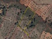 Terreno Rústico em Cabeço da Águia Alcanena