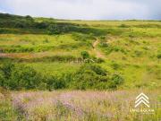 Terreno rústico em Catribana