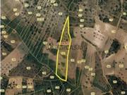 Terreno Rústico em Corredouro, Alcanena