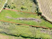 Terreno Rustico em Évora de Alcobaça