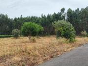 Terreno Rústico em Fazendas de Almeirim