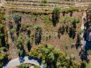 Terreno Rústico em Gatão, Amarante