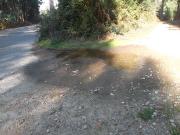 Terreno rústico em Macieira de Sarnes