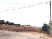 Terreno rústico em Palmela