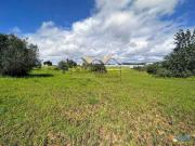 Terreno Rústico em Pechão | 24033760701