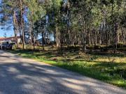 Terreno rústico em perímetro urbano 1,2 ha, Pombal Terreno rústico em perímetro urbano 1,2 ha, Pombal