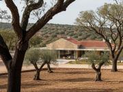 Terreno Rústico em São Francisco da Serra: Oportunidade... Terreno Rústico em São Francisco da Serra: Oportunidade...