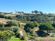 Terreno Rústico em Santa Susana, Sintra