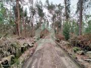 Terreno rustico em Silveiros Barcelos