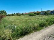 Terreno rustico en Alguazas zona Huerta+, 1454 m