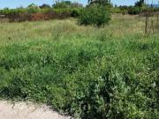 Terreno rustico en Alguazas zona Huerta+, 1454 m