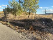 terreno rustico en jumilla