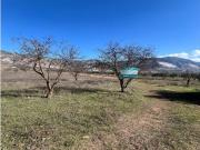 TERRENO RUSTICO EN PADUL