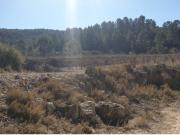 TERRENO RUSTICO EN REQUENA 8 HECTAREAS 80.000 METROS