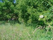 Terreno Rústico en San Lorenzo, Ponferrada Polígono 38...
