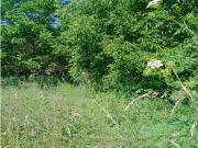 Terreno Rústico en San Lorenzo, Ponferrada Polígono 38...