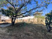 Terreno rústico en San Sebastián de Las Flores, Etla 3