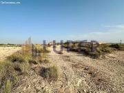 Terreno Rústico en San Vicente, Verdegas