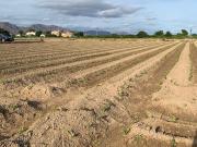 TERRENO RUSTICO EN SANTA CRUZ MURCIA