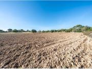 Terreno rústico en Son Amengual