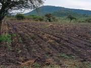 Terreno Rústico en Venta, Don Juan Xido de Abajo, San...