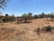 Terreno Rústico en venta en Atlixco