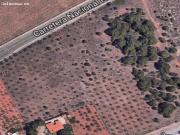 Terreno Rústico en Venta en Benicàssim, Castellón