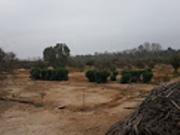 TERRENO RUSTICO EN VENTA EN CHILCA