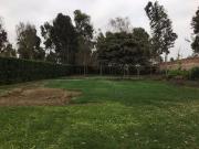 TERRENO RUSTICO EN VENTA LURIN