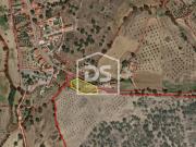 Terreno Rústico, Escalos de Baixo e Mata, Castelo Branco...