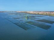 Terreno Rústico, Esgueira, Aveiro | BPI Expresso Imobiliário