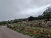 Terreno Rústico, Faro, Conceição e Estoi