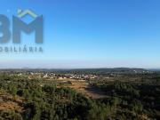 Terreno Rústico, Freixial e Juncal Do Campo, Castelo...