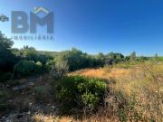 Terreno Rústico, Freixial e Juncal Do Campo, Castelo...