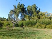 Terreno Rústico / Fundão, Alcaide