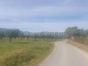 Terreno Rústico / Fundão, Alcaria