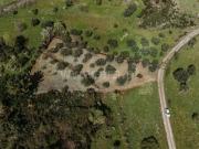 Terreno Rústico / Fundão, Castelejo