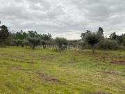 Terreno Rústico / Fundão, Orca