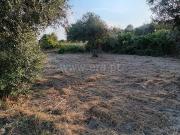 Terreno Rústico / Fundão, Pêro Viseu