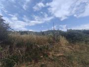 Terreno Rústico / Fundão, Silvares