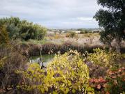 Terreno Rústico / Fundão, Telhado