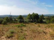 Terreno Rústico / Fundão, Vales Pêro Viseu